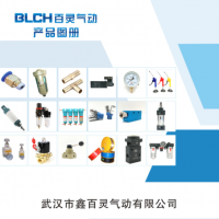 武漢百靈氣動(dòng)歡迎您！